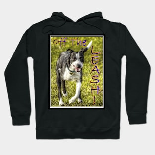 Off The Leash Hoodie